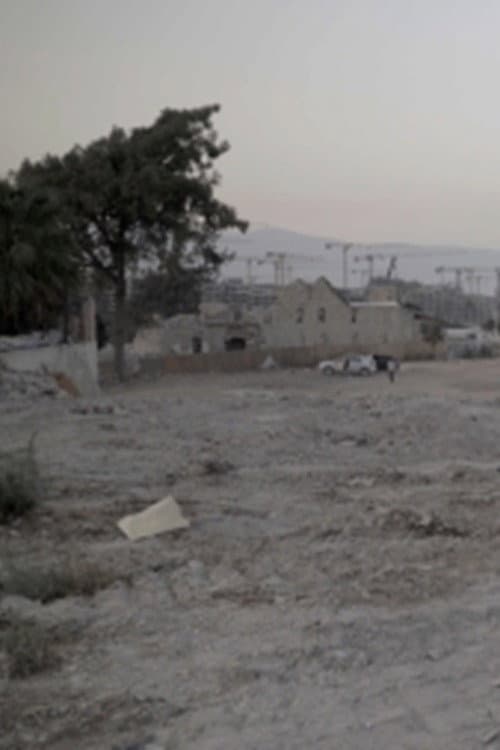 Hatay: 12-24 Eylül 2025