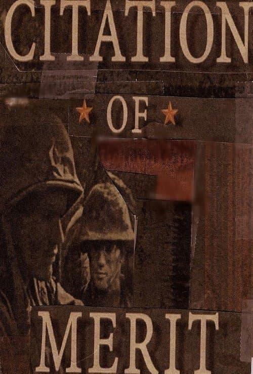 Citation of Merit