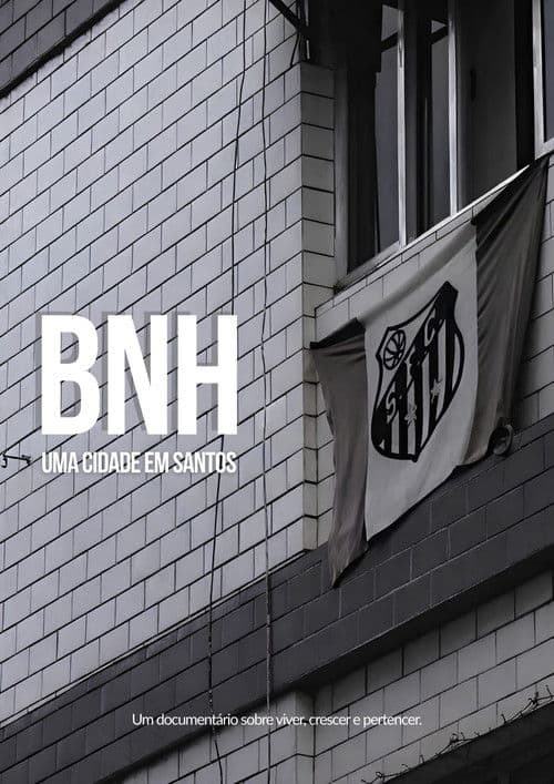 BNH: Uma Cidade em Santos