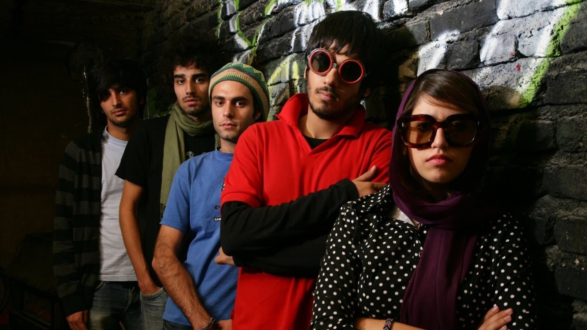 Kimse İran Kedilerinden Bahsetmiyor