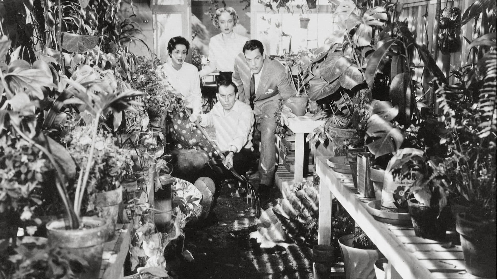 Merihten Saldıranlar