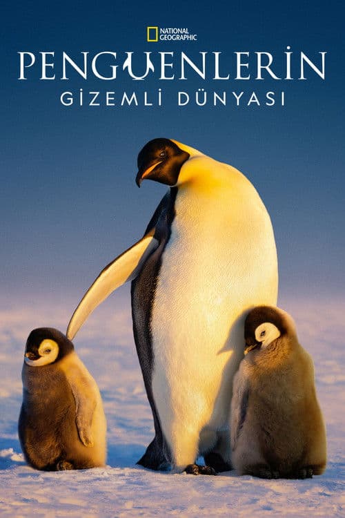 Penguenlerin Gizemli Dünyası